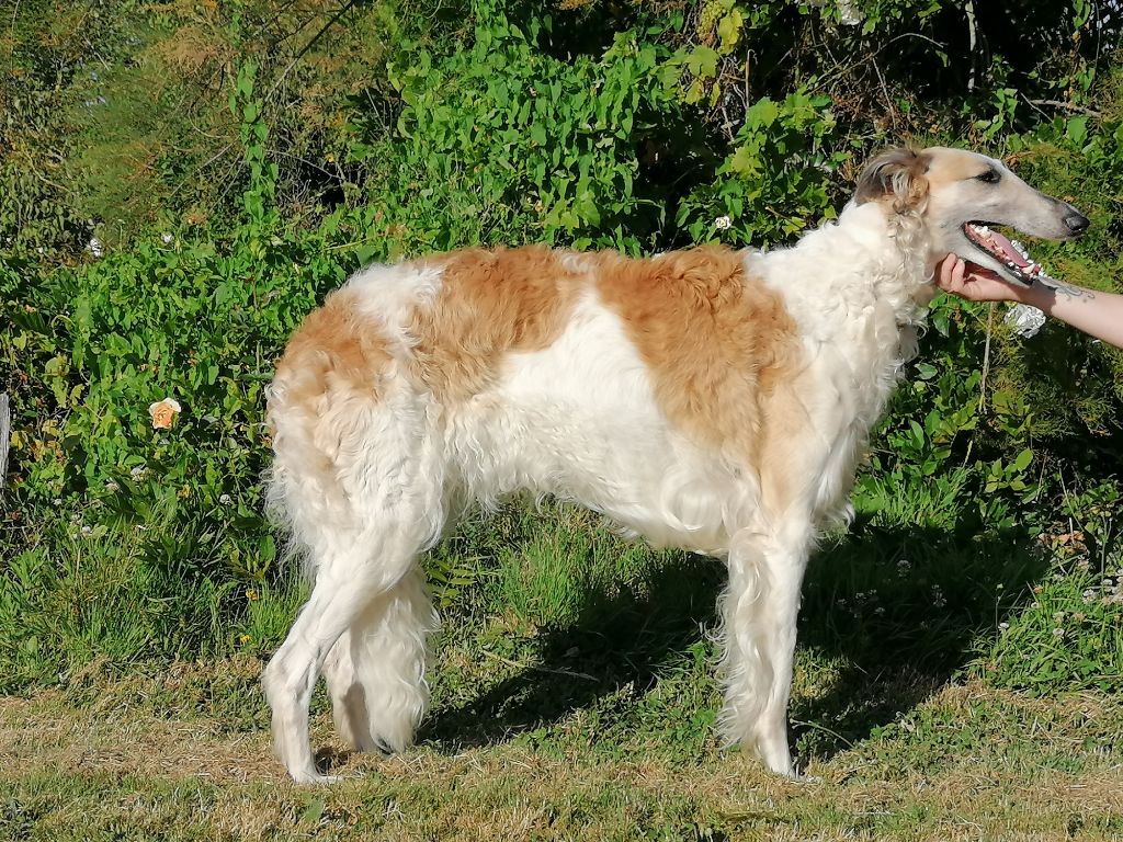 Miss anastasia Du Castel D'Enfer