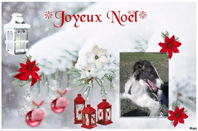 Du Castel D'Enfer - Joyeux Noel